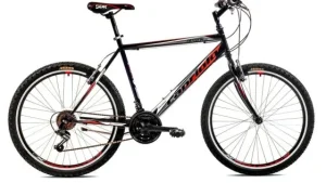 Bicicleta Capriolo Passion Man black-red 21
