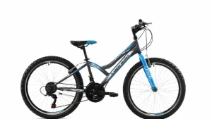 Bicicleta copii Capriolo 24 Diavolo 400 grey blue