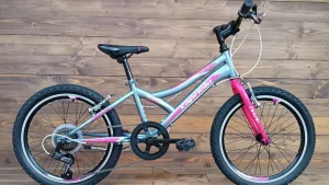 Bicicleta copii Capriolo 20 Diavolo 200 grey-pink 11
