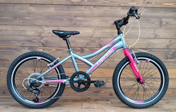 Bicicleta copii Capriolo 20 Diavolo 200 grey-pink 11