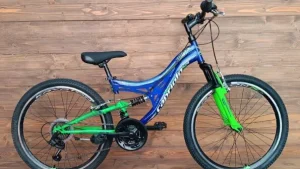 Bicicleta copii Capriolo MTB CTX240 24 glossy blue green 14