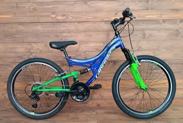 57646_0_921404-14_2-595x400.jpg Bicicleta copii Capriolo MTB CTX240 24 glossy blue green 14