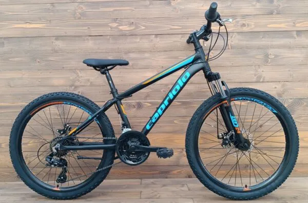 57730_0_923550-13_2-600x396.jpg Bicicleta copii Capriolo 24 ZED cu cadru din aluminiu black blue orange 13