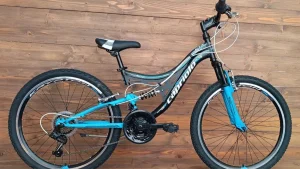 Bicicleta copii Capriolo MTB CTX240 24 black blue 14