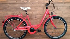 Bicicleta copii Capriolo 24 Ella 400 pink N3 viteze
