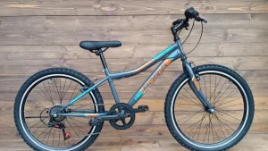 Bicicleta copii Capriolo MTB Stinger 24 grey-orange 12