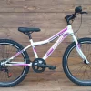 Bicicleta copii Capriolo MTB Stinger 24 white-violet 12