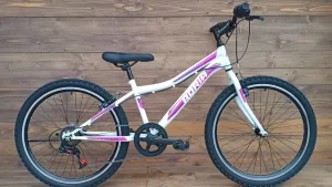 Bicicleta copii Capriolo MTB Stinger 24 white-violet 12