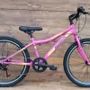 Bicicleta copii Capriolo MTB Stinger 24 pink-violet 12