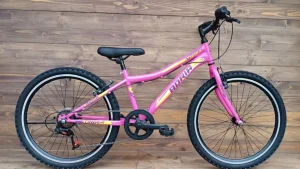 Bicicleta copii Capriolo MTB Stinger 24 pink-violet 12