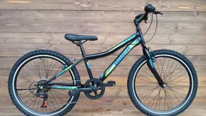 Bicicleta copii Capriolo MTB Stinger 24 black-green 12