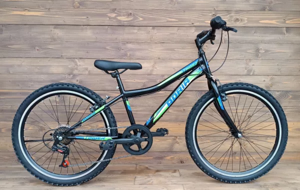 Bicicleta copii Capriolo MTB Stinger 24 black-green 12
